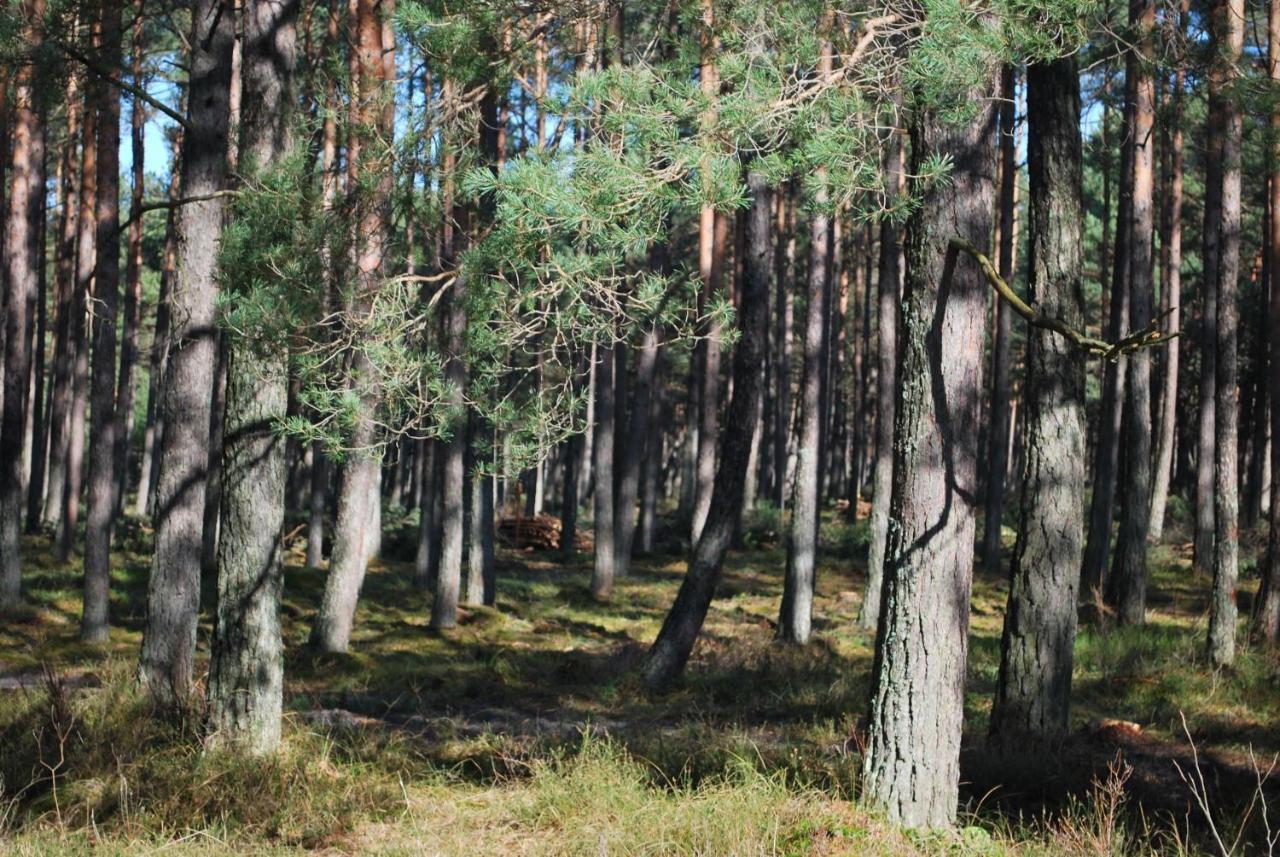 Kalinowa14 Villa Kopalino Eksteriør billede